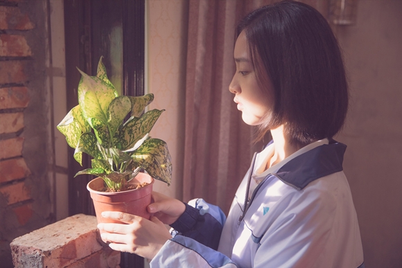 사진= 싸이더스