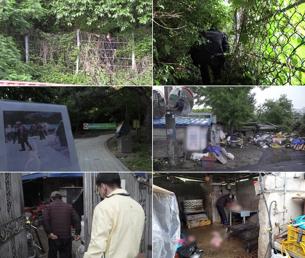 실화탐사대 방송 캡쳐본.