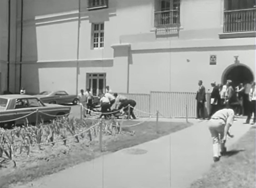 사진=FOX 뉴스 화면 캡처