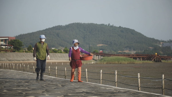 검은 비단이라 불리는 무안 갯벌.