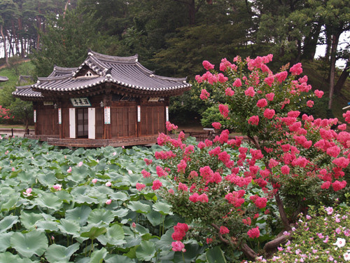 사진= 선교장 제공