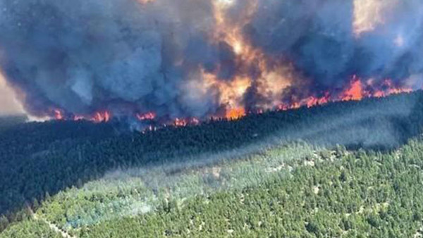 사진= 연합뉴스