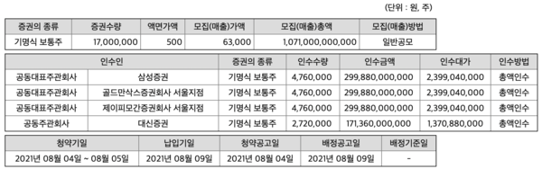 사진=금융감독원 전자공시시스템 캡처