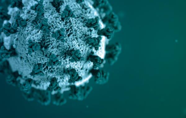 사진=미 CDC 제공