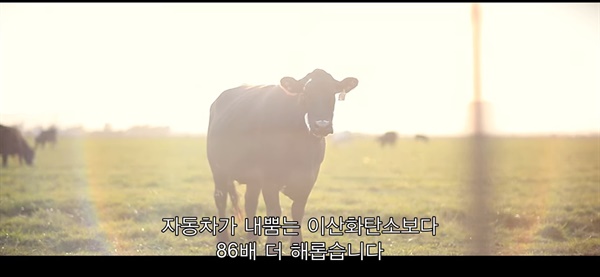 사진=넷플릭스 스틸컷