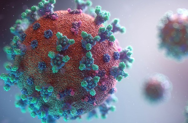 코로나19 바이러스 [사진=FMA]