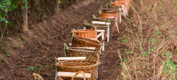 [사진=체코관광청]