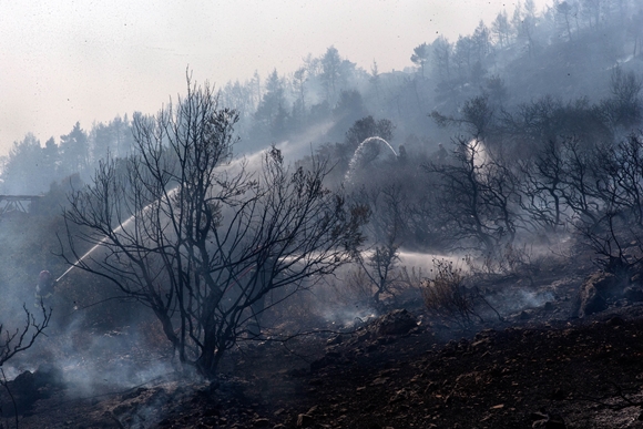 그리스 산불로 타버린 울창한 산림지대 [사진=Xinhua/연합뉴스]