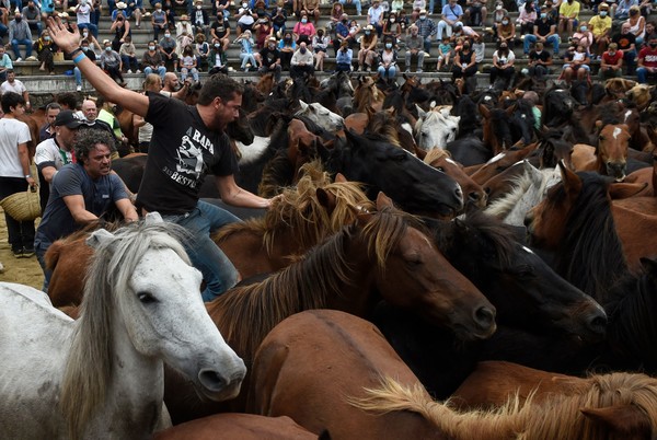 사진=AFP/연합뉴스, 라파 다스 베스타스 행사
