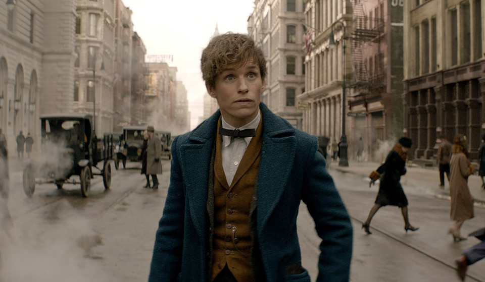 [사진='신비한 동물사전' 스틸컷, 워너 브러더스 코리아㈜]