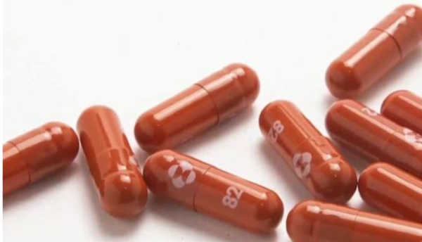 [사진=몰누피라비르 치료제, MSD]