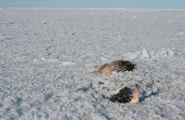 [사진=REUTERS/연합뉴스]