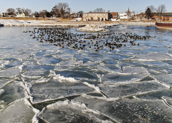 [사진=연합뉴스]