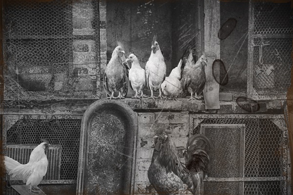 [사진=픽사베이]