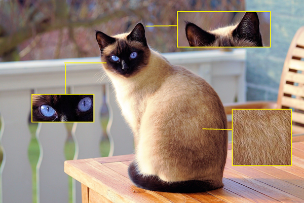 [사진=픽사베이]