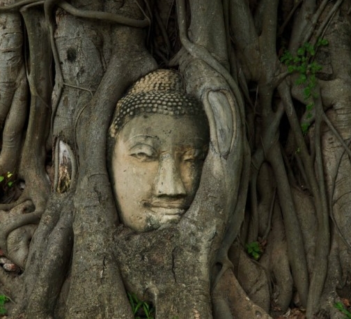 [출처 = 문화포털]