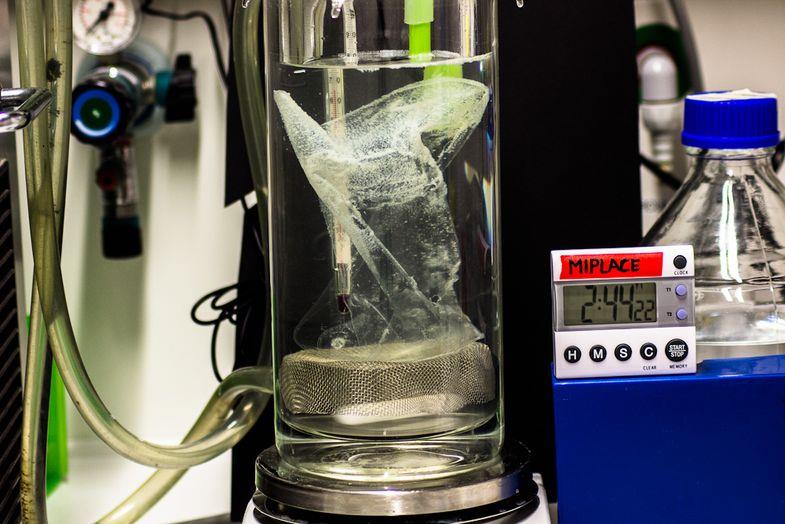 [사진=연합뉴스]