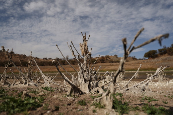 2022년 4월 18일 칠레 산티아고의 틸틸(Tiltil)에 있는 건조한 룽게(Runge) 저수지에서 나무의 잔해가 보인다. [사진=로이터/연합뉴스]