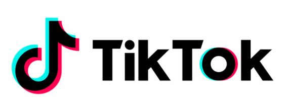 틱톡 홈페이지 캡처