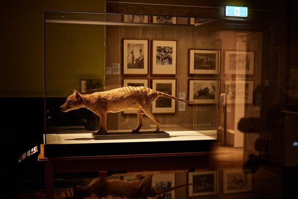 사진=TMAG 트위터