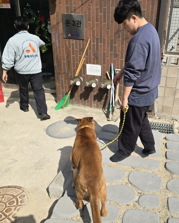 코레일유통 경인본부 직원들의 유기동물 돌봄 활동 모습. /사진=코레일유통
