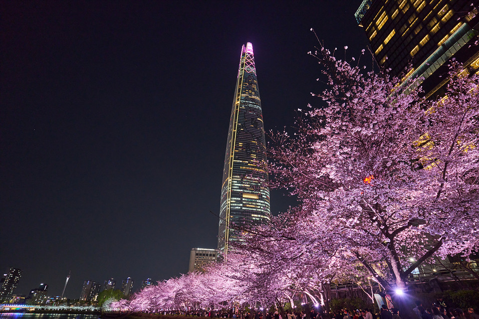 롯데물산이 오는 27일부터 다음달 12일까지 '2026 스프링 인 잠실'을 진행한다. 사진은 지난해 ‘2025 스프링 인 잠실’ 모습(사진=롯데물산)