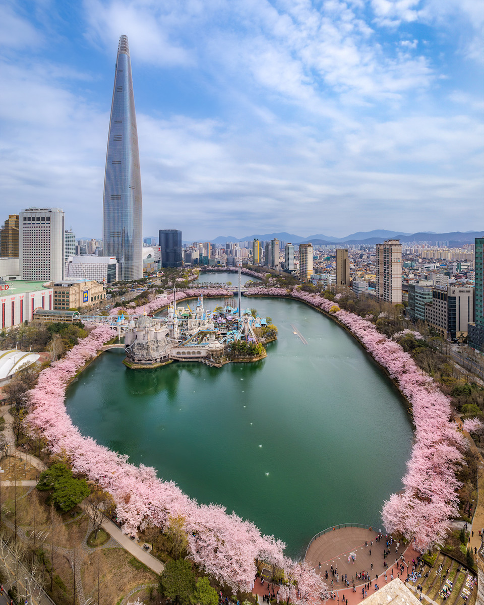 벚꽃 명소로 사랑받는 석촌호수와 롯데월드타워 전경(사진=롯데물산)